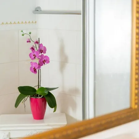 Appartement Daringer *