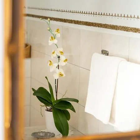 Daringer Appartement