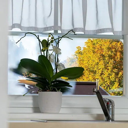 アパート Daringer *