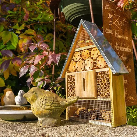 Daringer * Mayrhofen