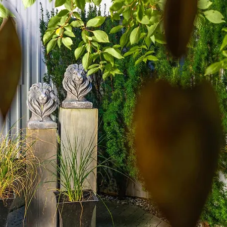 アパート Daringer