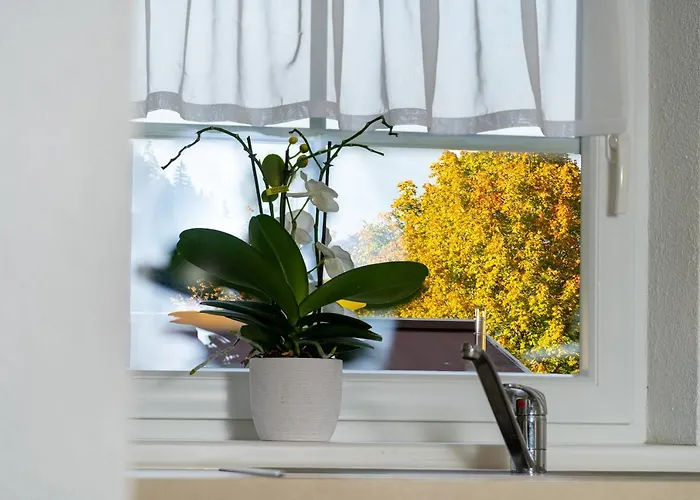 Appartamento Daringer *