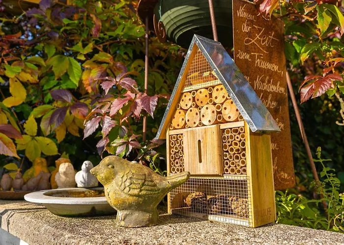 Daringer * Майрхофен