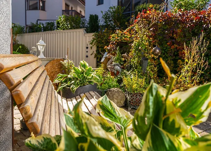 Daringer * Mayrhofen