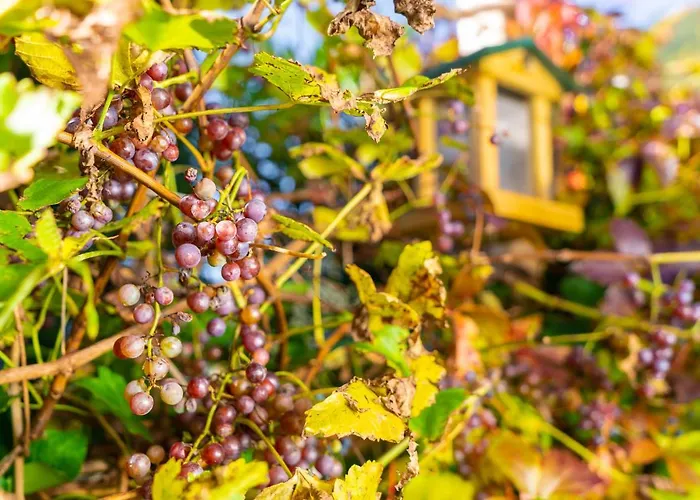 Apartamento Daringer Mayrhofen